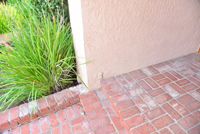 DSC_7336 (Large).JPG